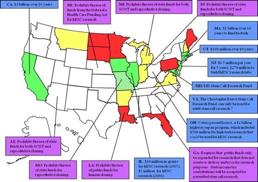 US Stem Cell Legislation